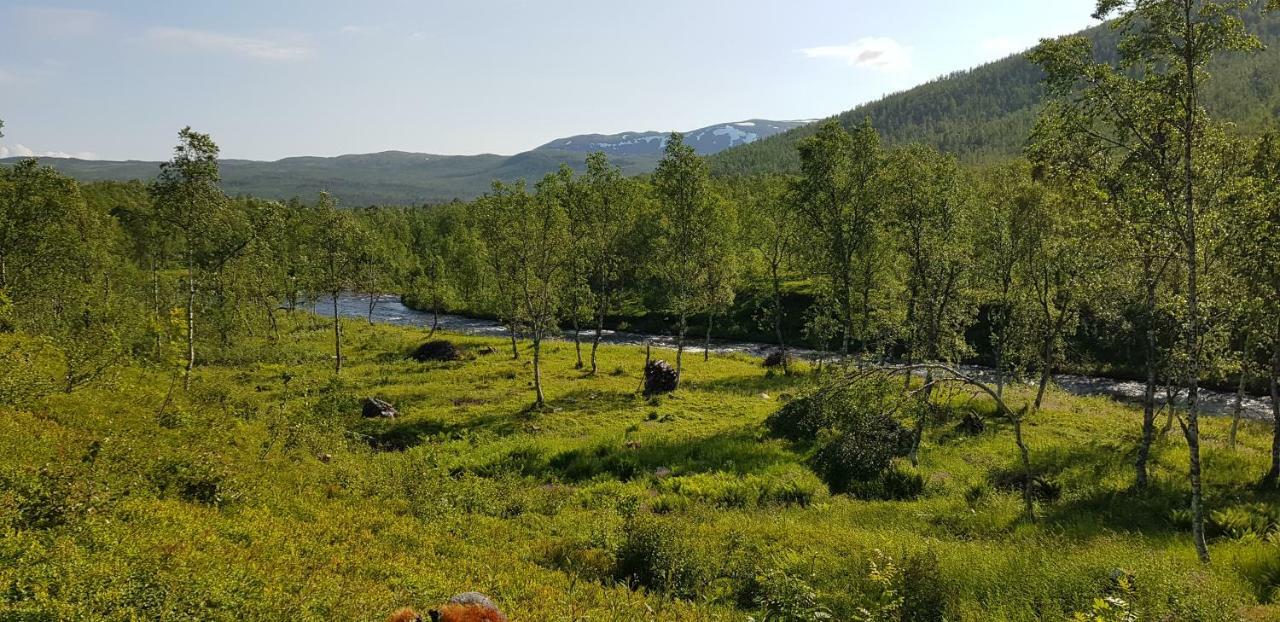 Elvestua Villa Gibostad Екстериор снимка
